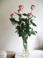 IMG-3590