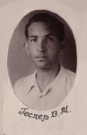 Геслер В.М.