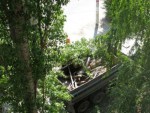13:19 Маленький погрузчик легко грузит обрубки в кузов самосвала