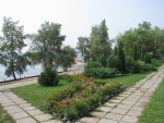 Красивые цветники и газоны